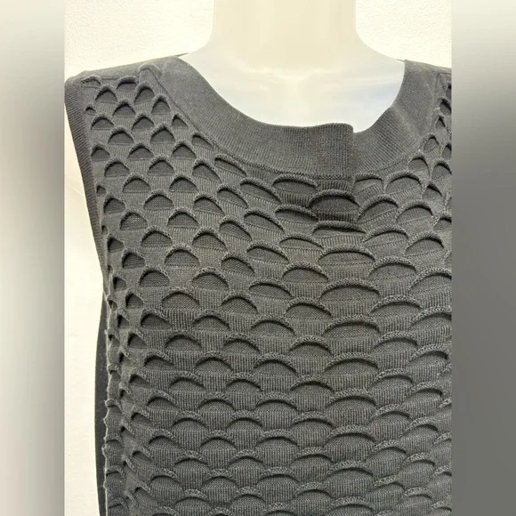 CONNECTED APPAREL Black Textured Sleeveless Dress - Picture 8 of 12